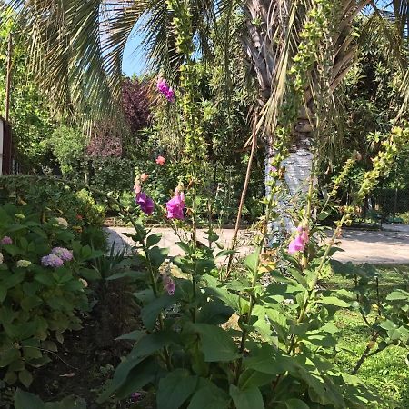 Guest House Evkalipt Ochamchira Luaran gambar